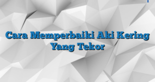 Cara Memperbaiki Aki Kering Yang Tekor