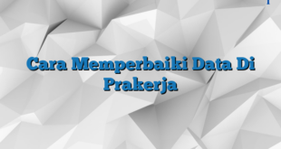 Cara Memperbaiki Data Di Prakerja