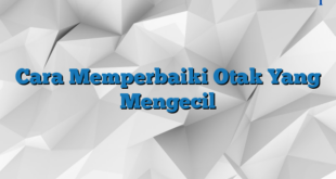 Cara Memperbaiki Otak Yang Mengecil