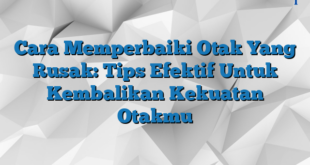 Cara Memperbaiki Otak Yang Rusak: Tips Efektif Untuk Kembalikan Kekuatan Otakmu