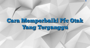 Cara Memperbaiki Pfc Otak Yang Terganggu