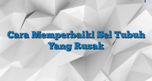 Cara Memperbaiki Sel Tubuh Yang Rusak