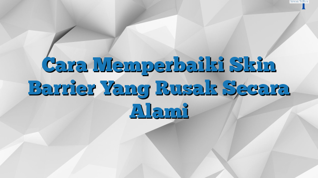 Cara Memperbaiki Skin Barrier Yang Rusak Secara Alami » SimakTerus