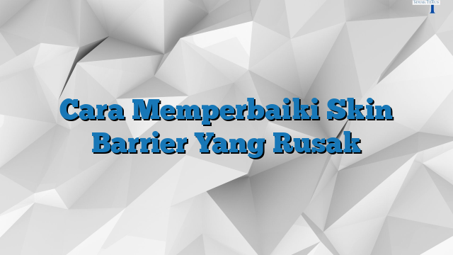 Cara Memperbaiki Skin Barrier Yang Rusak » SimakTerus