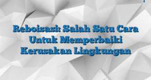 Reboisasi: Salah Satu Cara Untuk Memperbaiki Kerusakan Lingkungan