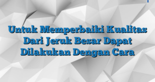 Untuk Memperbaiki Kualitas Dari Jeruk Besar Dapat Dilakukan Dengan Cara